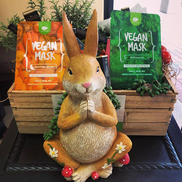 This bunny is sitting with a clapsed hands in gratitude.  All products listed in The Vegan Comsetics Store are cruelty-free and contain no animal ingredients. Displayed behind the bunny are Happy Vegan Face Masks available for sale on our website.