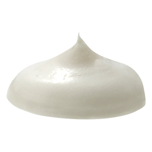 Vegan Heal & Conceal - Aloe and Tea Tree Oil Blemish Buster with Vitamins C, E and B complex - VegoGlam (The Vegan Cosmetics Store)