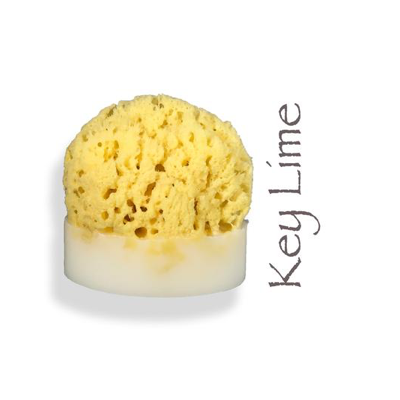 Sea Sponge Soap - VegoGlam (The Vegan Cosmetics Store)