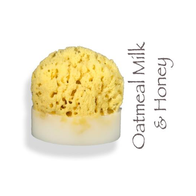Sea Sponge Soap - VegoGlam (The Vegan Cosmetics Store)